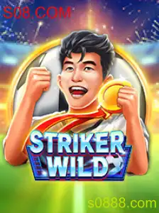Descubra tudo sobre o jogo StrikerWILD e suas mecânicas em S08.COM